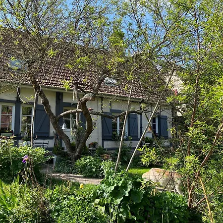 Cosy Oda ve Kahvaltı 3*