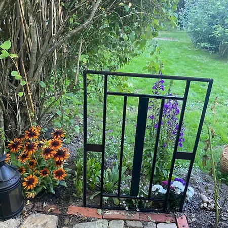 Oda ve Kahvaltı Cosy