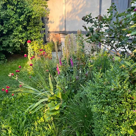 Oda ve Kahvaltı Cosy