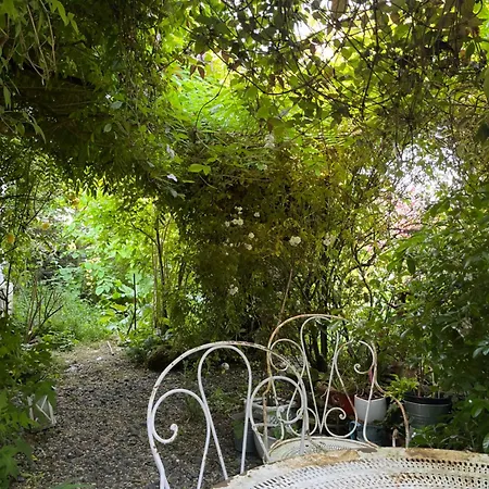 Cosy Oda ve Kahvaltı 3*