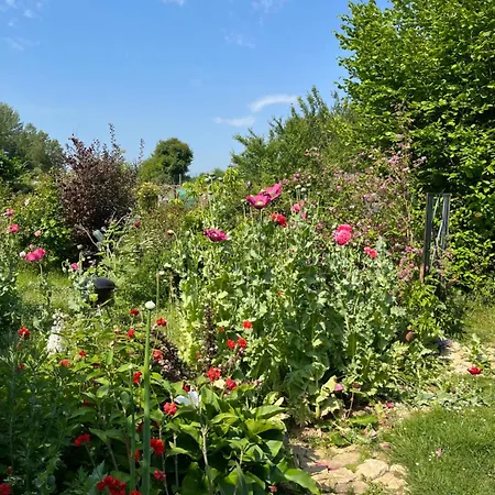 Cosy Oda ve Kahvaltı