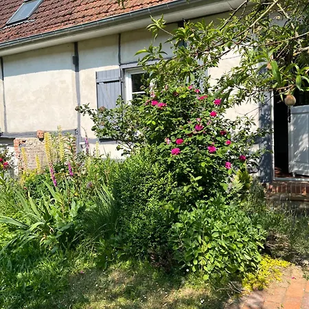 Bed & Breakfast Cosy