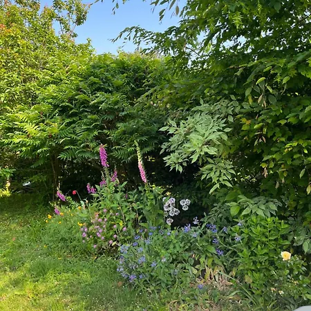 Oda ve Kahvaltı Cosy 3*